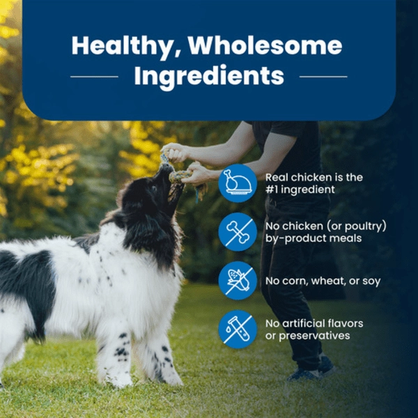 BLUE Life Protection Formula Chicken & Brown Rice Recipe Dry Dog Food