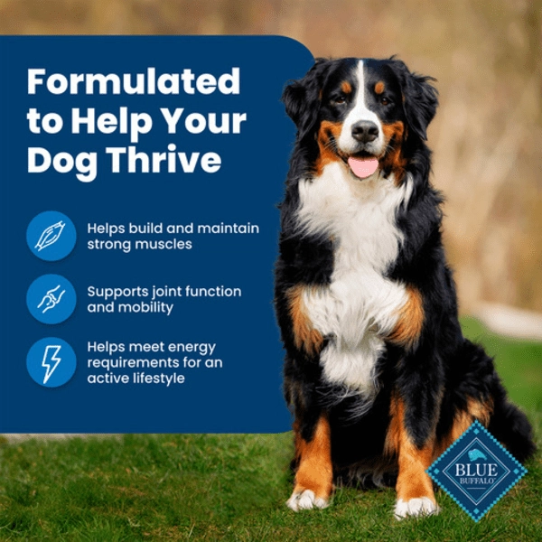 BLUE Life Protection Formula Chicken & Brown Rice Recipe Dry Dog Food