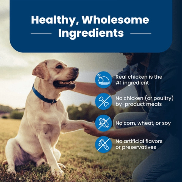 BLUE Life Protection Formula Chicken & Brown Rice Recipe Dry Senior Dog Food