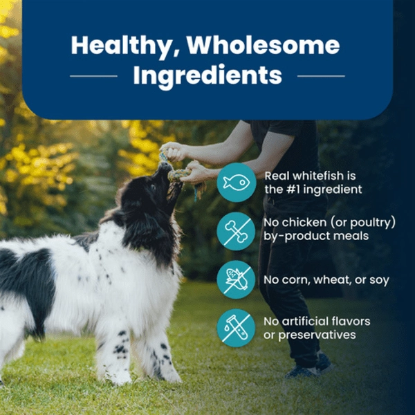 BLUE Life Protection Formula Fish & Brown Rice Recipe Dry Dog Food, 26lb
