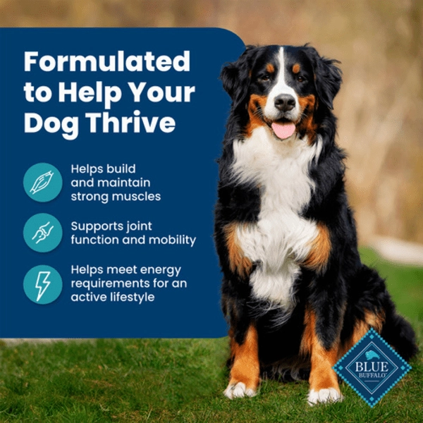 BLUE Life Protection Formula Fish & Brown Rice Recipe Dry Dog Food, 26lb