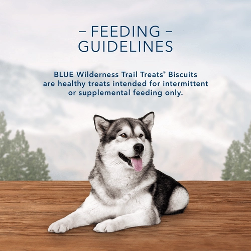 BLUE Wilderness Trail Treats Grain Free Biscuits; Turkey Recipe