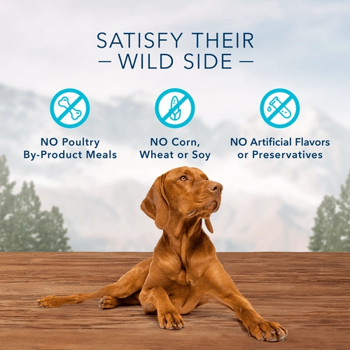 BLUE Wilderness Trail Treats Grain Free Biscuits; Turkey Recipe