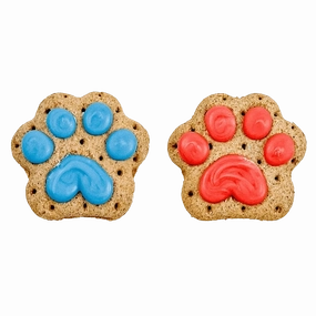 Bosco and Roxy's Birthday | Let the Paw-nanigans Begin!