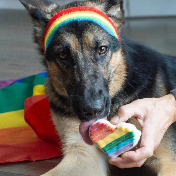 Bosco and Roxy's Pride & Family | Heart