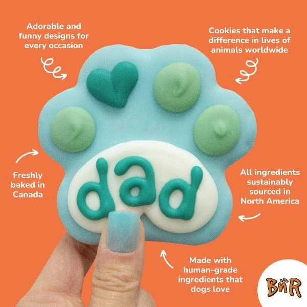 Bosco and Roxy's Pride & Family | Mini Donuts