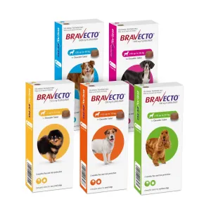 Bravecto for Fleas and Ticks