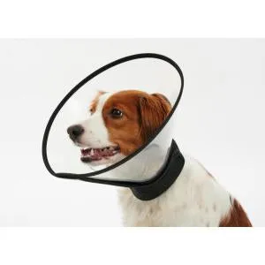 Buster Complete Dog Collar