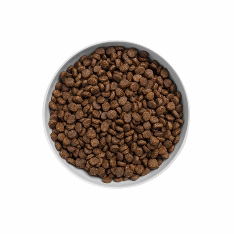 Canagan Free Range Chicken Cat Food