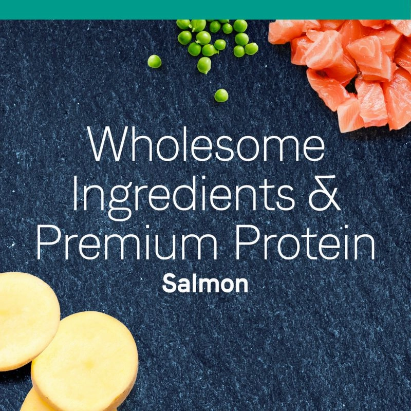 Canidae PURE Grain Free Dry Cat Food - Salmon