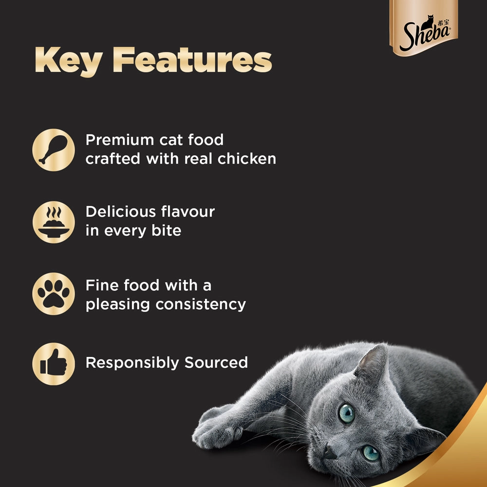 Carniwel Ocean Fish and Krill Dry Food and Sheba Chicken Loaf Rich Premium Kitten (2 to 12 Months) Fine Cat Wet Food Combo