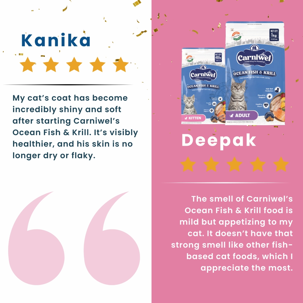 Carniwel Ocean Fish and Krill Dry Food and Sheba Chicken Loaf Rich Premium Kitten (2 to 12 Months) Fine Cat Wet Food Combo