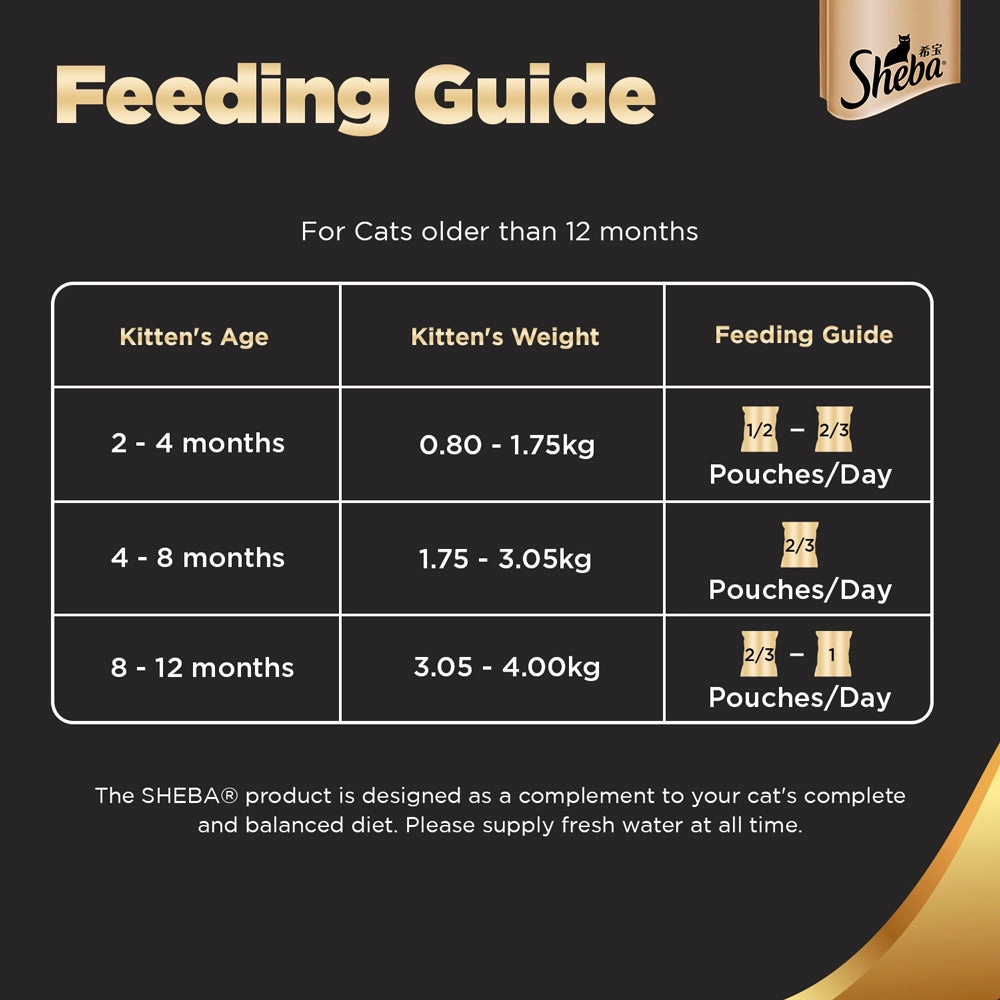 Carniwel Ocean Fish and Krill Dry Food and Sheba Chicken Loaf Rich Premium Kitten (2 to 12 Months) Fine Cat Wet Food Combo
