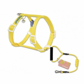 Cat Harness Set