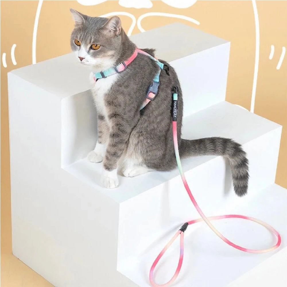 Cat Harness Set