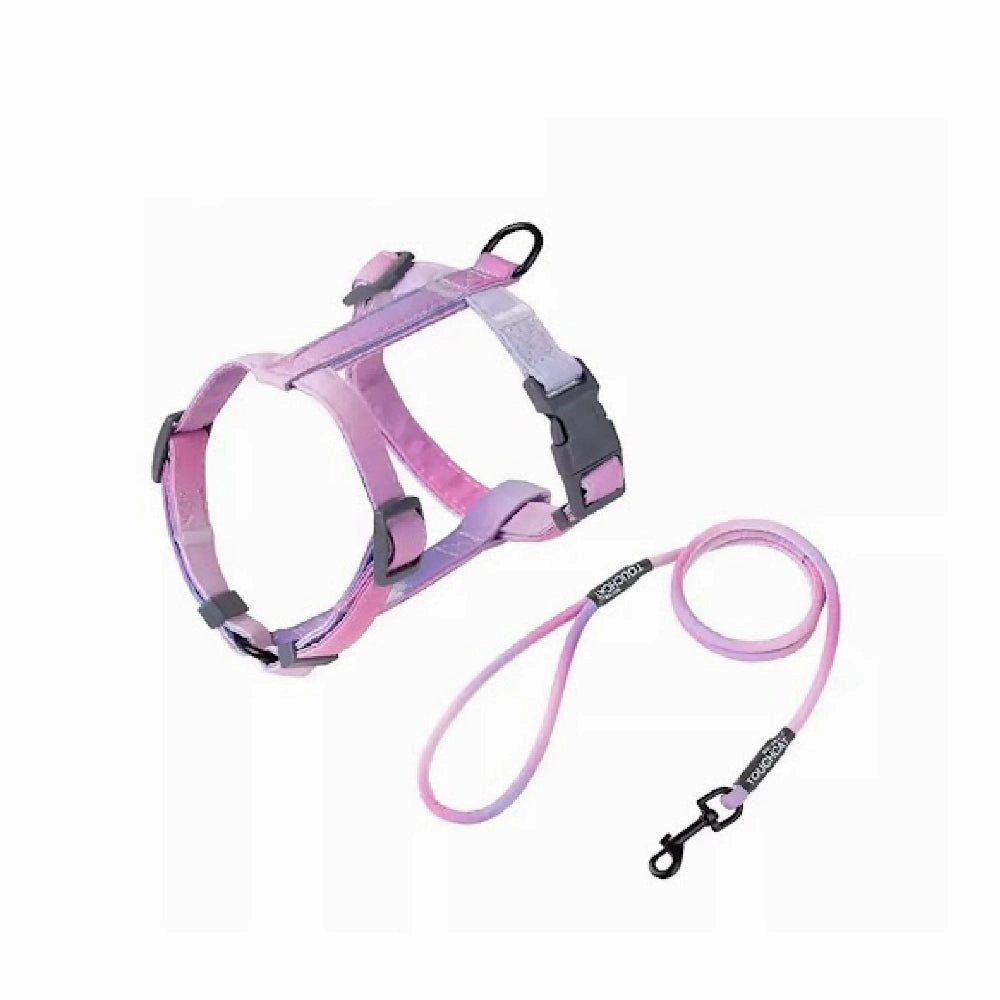 Cat Harness Set
