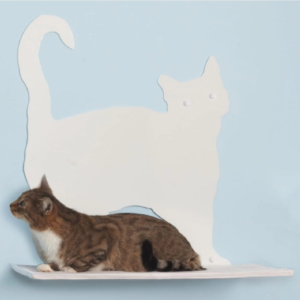 Cat Silhouette Cat Shelf