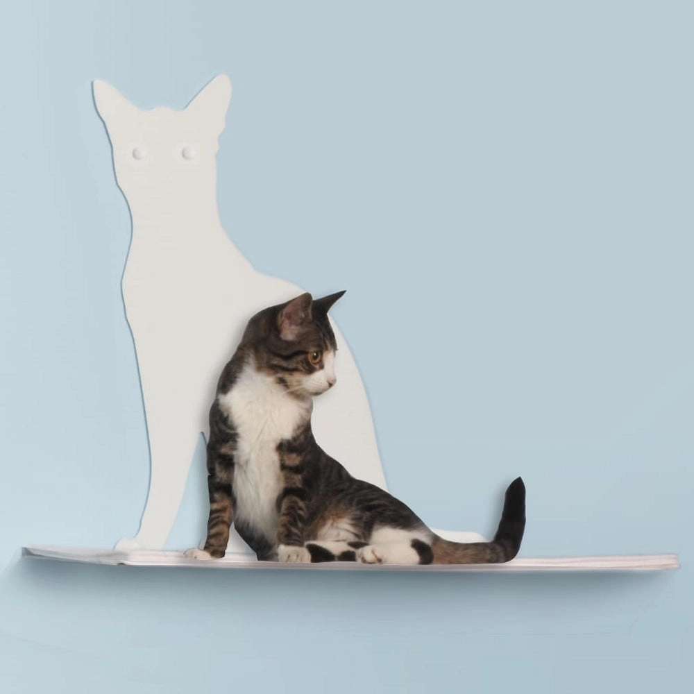 Cat Silhouette Cat Shelf