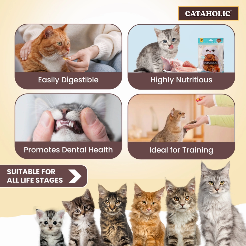 Cataholic Soft Chicken and Sunfish Spiral Cat Treats