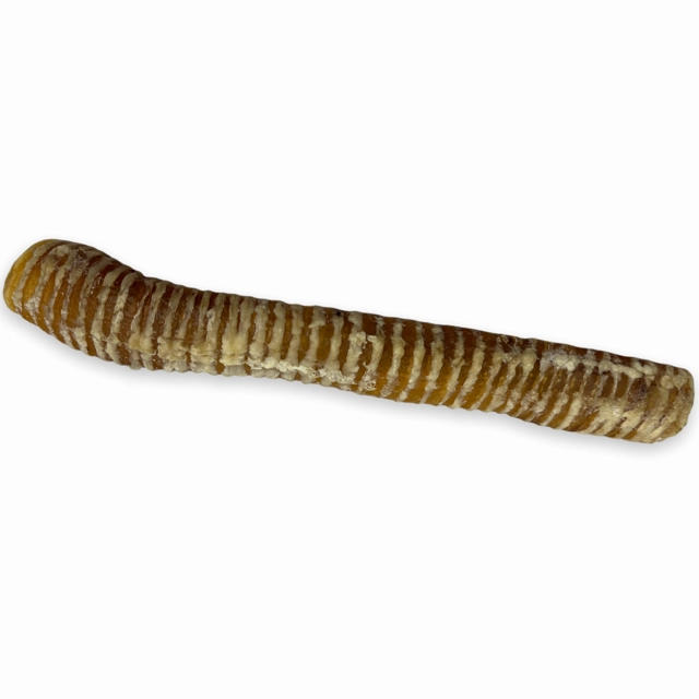 Chasing Our Tails Beef Trachea