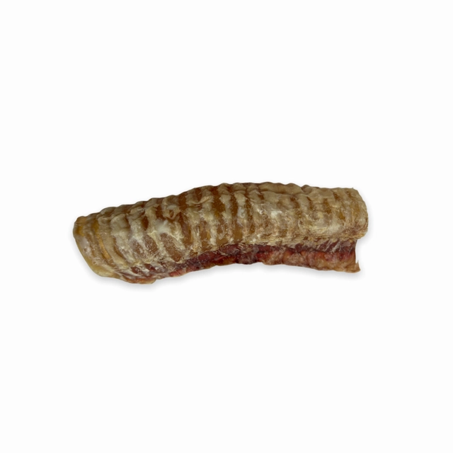 Chasing Our Tails Beef Trachea