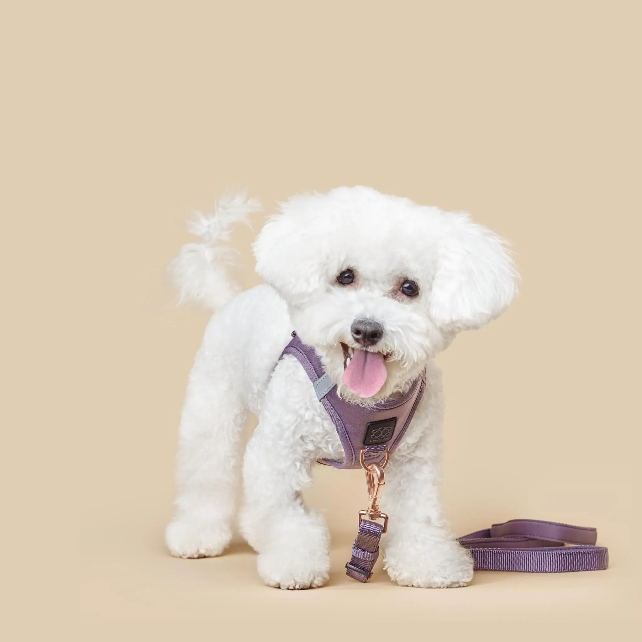 City Dog Leash Lilac Grey