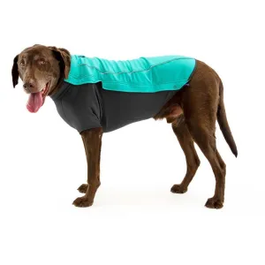 Cloud Dog Chaser