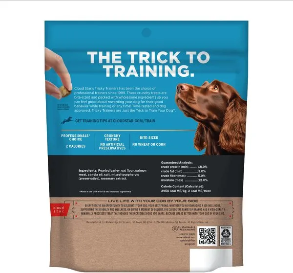Cloud Star Tricky Trainers Crunchy with Salmon Dog Treats