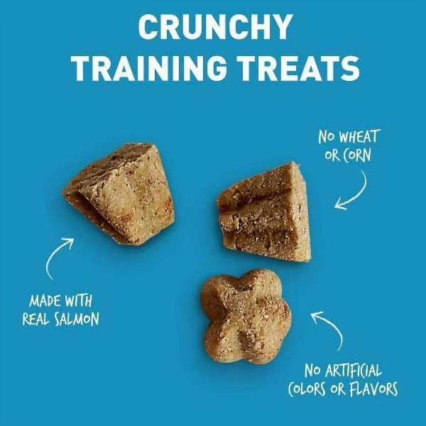 Cloud Star Tricky Trainers with Salmon Crunchy Dog Treats