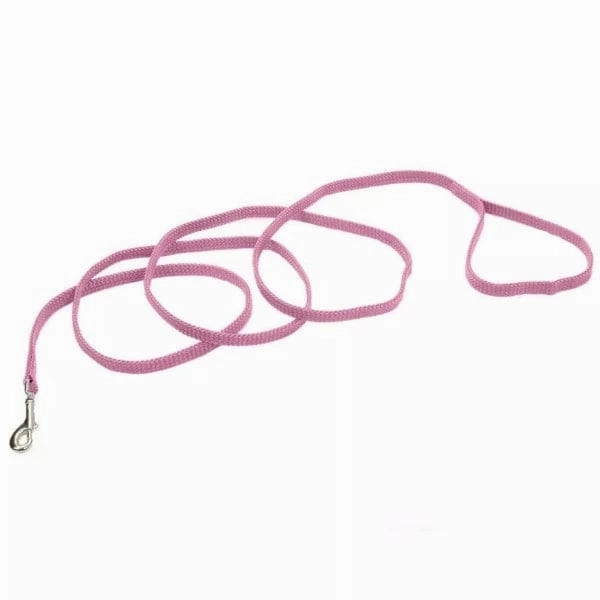 Coastal Sunburst Dog Leash