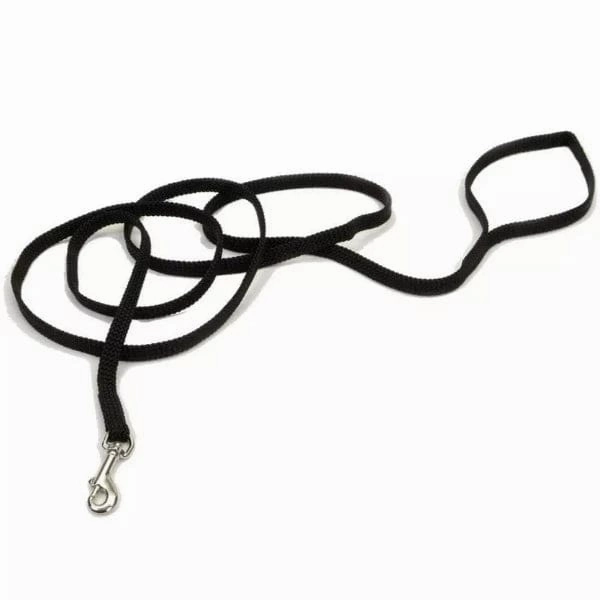 Coastal Sunburst Dog Leash