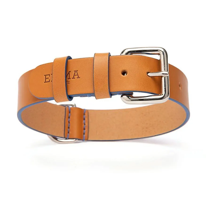 Cobalt Anemone Dog Collar