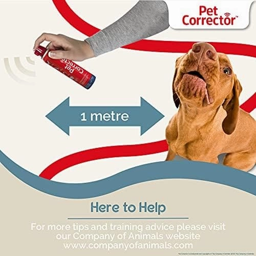 Company Of Animals Pet Corrector Training Tool