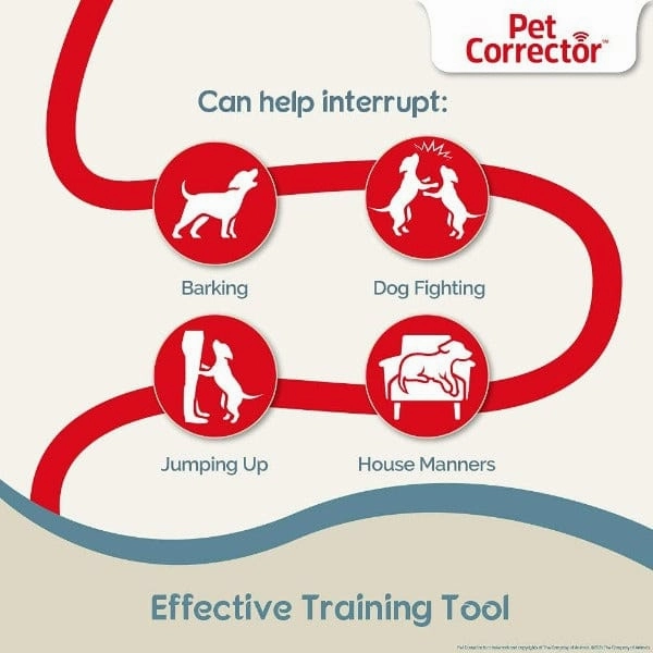 Company Of Animals Pet Corrector Training Tool