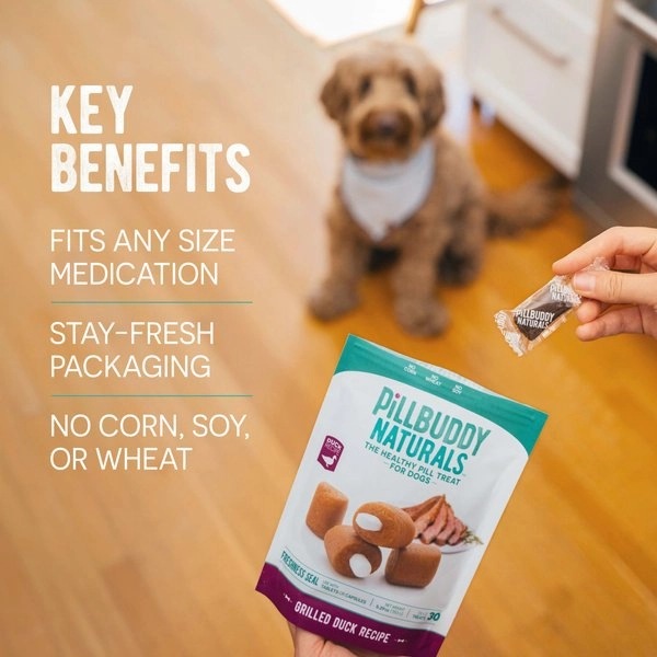 Complete Natural Nutrition Pill Buddy Naturals Peanut Butter & Banana Soft & Chewy Dog Treats
