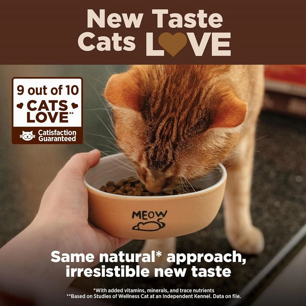 CORE Original Deboned Turkey Adult Cat Dry Food