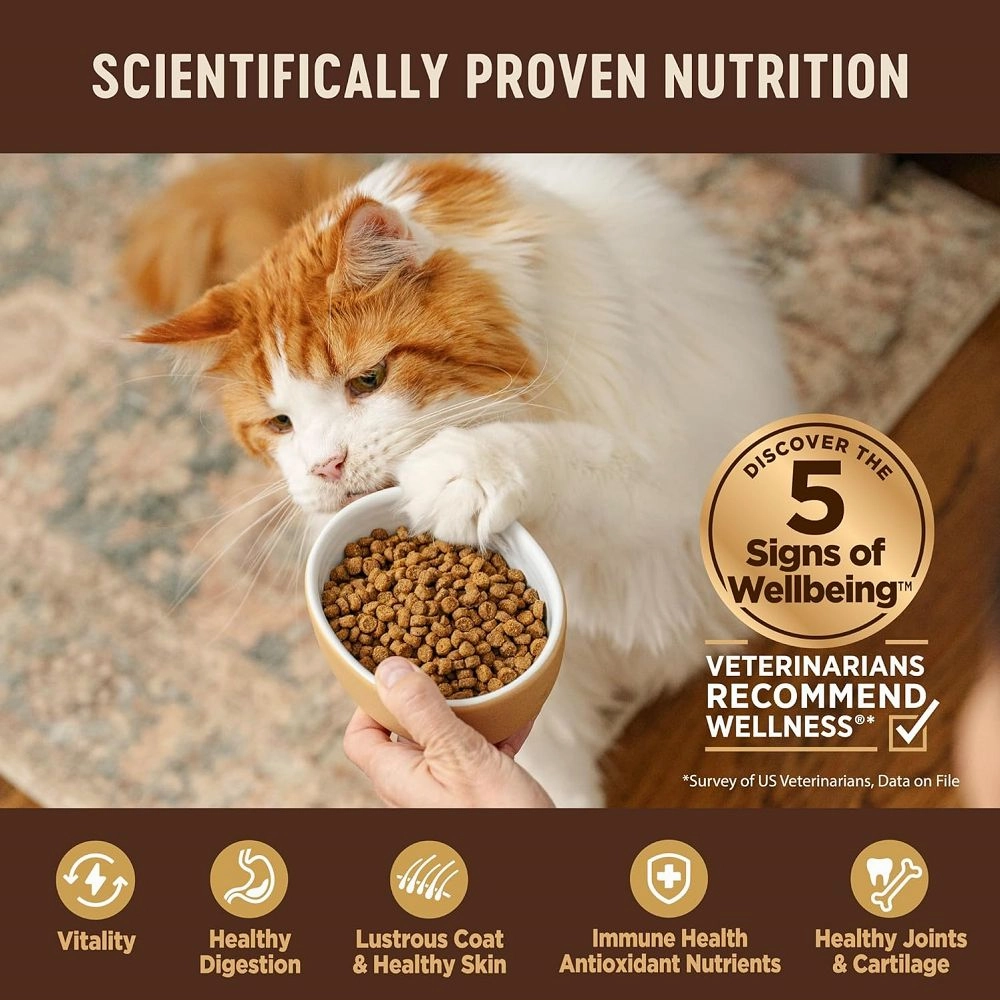 CORE Original Deboned Turkey Adult Cat Dry Food