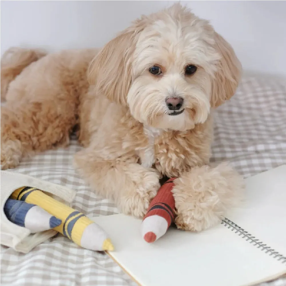 Crayons Burrow & Snuffle Dog Toy