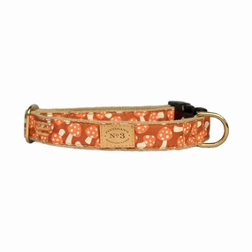 Creamsicle Mushroom Collar
