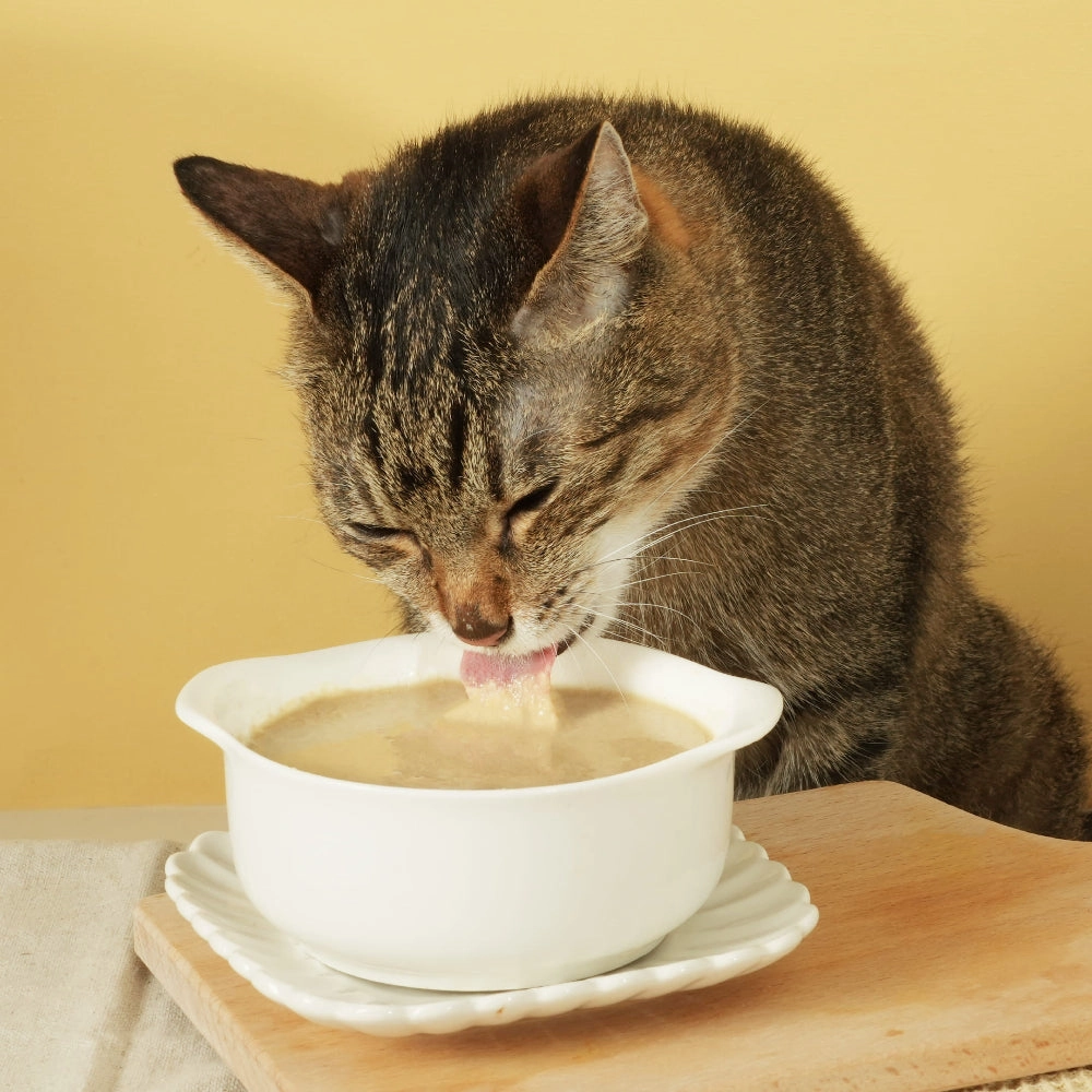 Creamy Puree - Fresh and Sweet Milkfish Cat Can