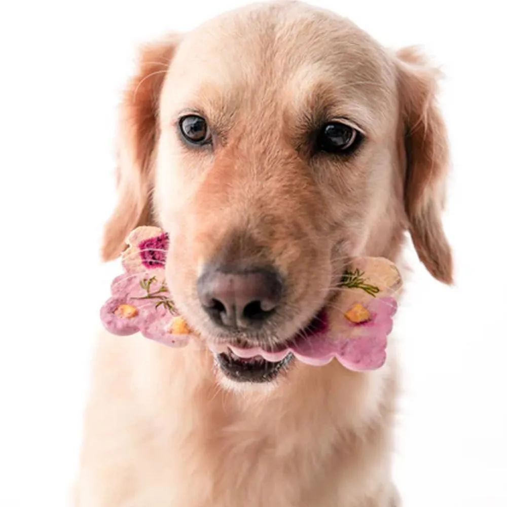 Cronch Bars Beef Knuckle Freeze Dried Treats for Dogs and Cats