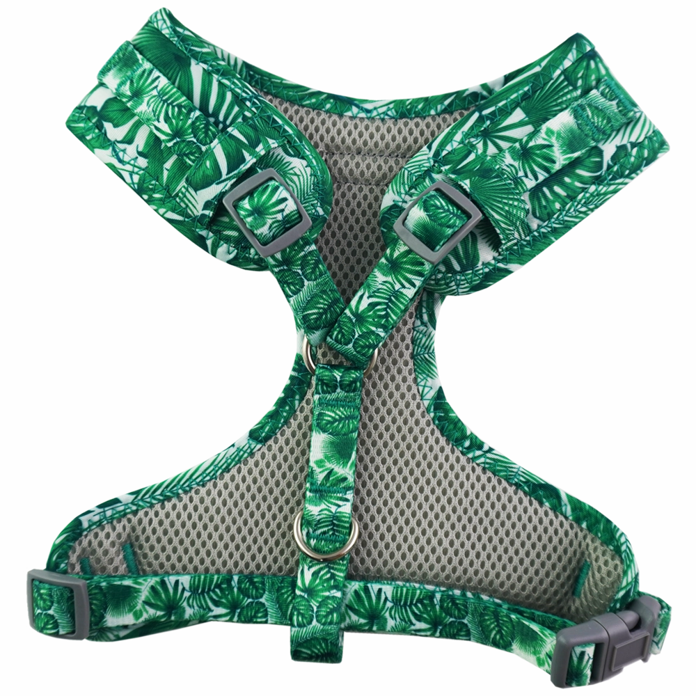 Dan & Sam - Dog Harness (Lahana)