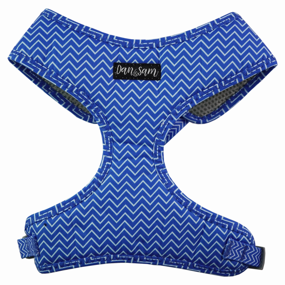 Dan & Sam - Dog Harness (Ziggy)