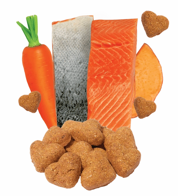 Darford Grain Free Salmon Recipe Oven-Baked Dog Treats