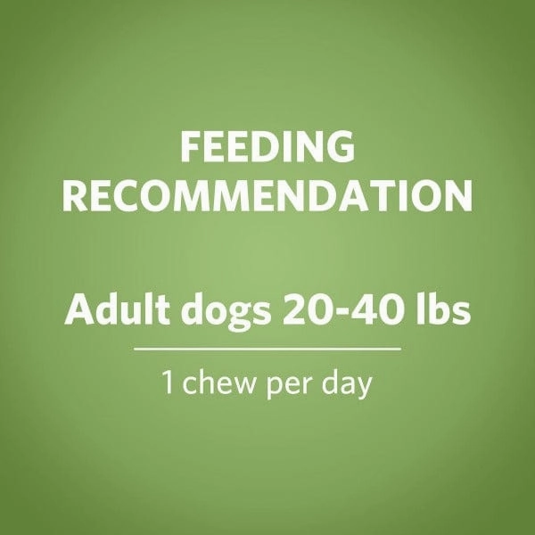 DentaLife ActivFresh Dog Chews; Medium