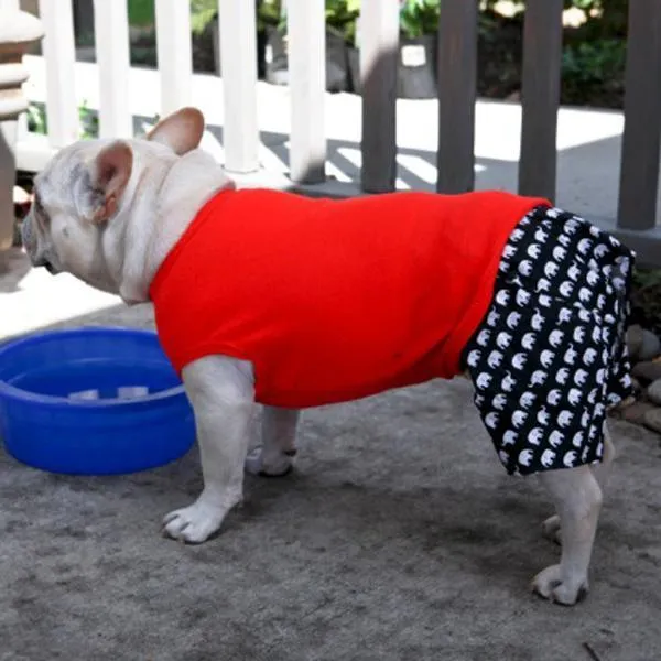 Dog Boxer Shorts Elephants