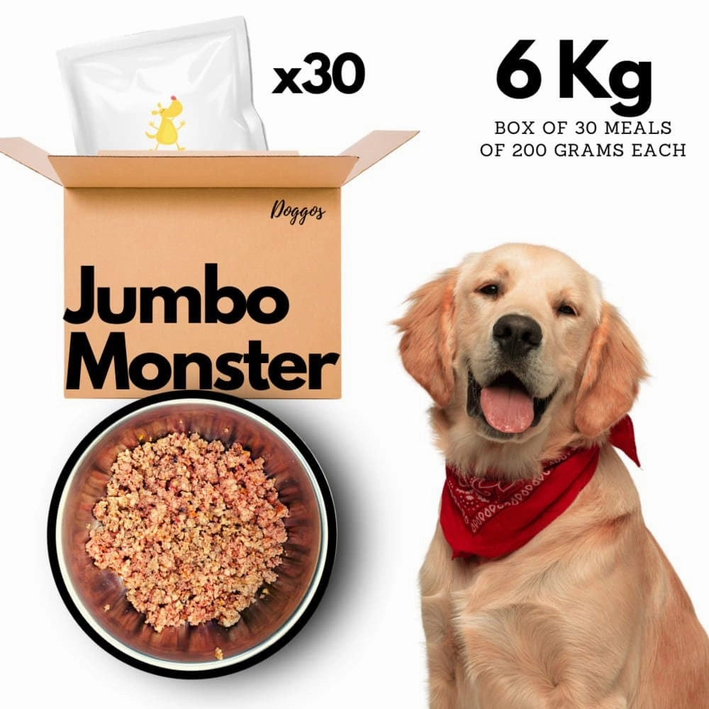 Doggos Jumbo Monster Chicken and Pumpkin Fresh Dog Wet Food (All Breeds)