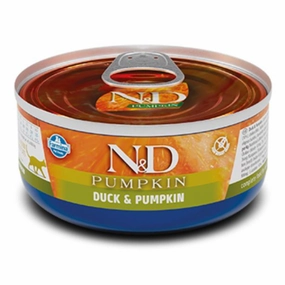 Duck & Pumpkin