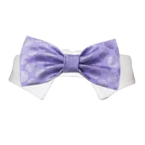 Dylan Dog Bow Tie Collar