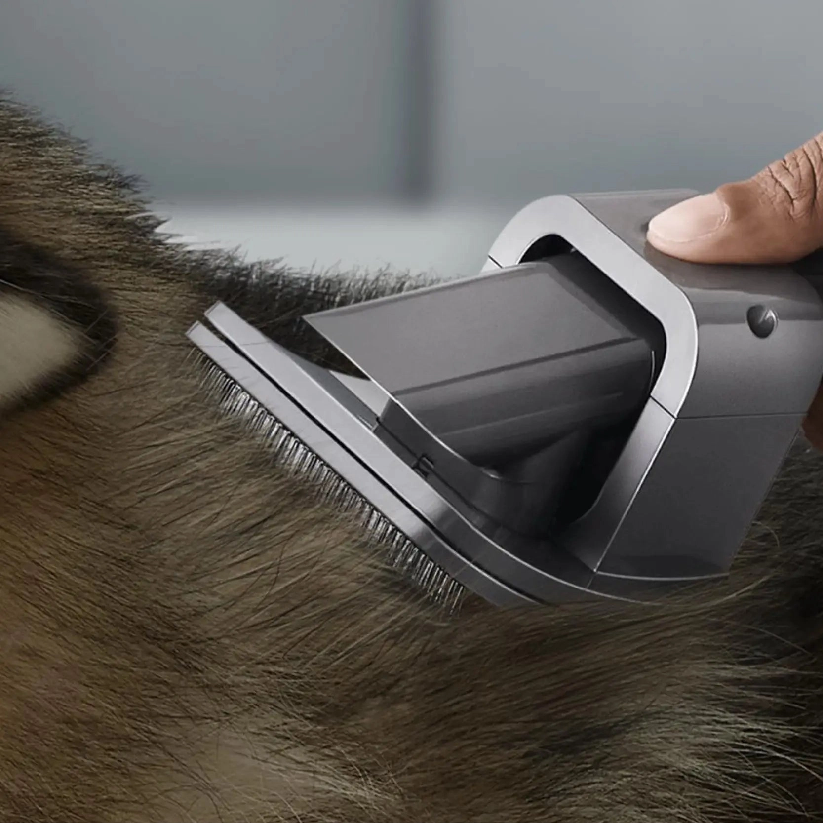 Dyson - Pet Grooming Kit